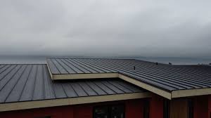 Best Cold Roofs  in San Dimas, CA